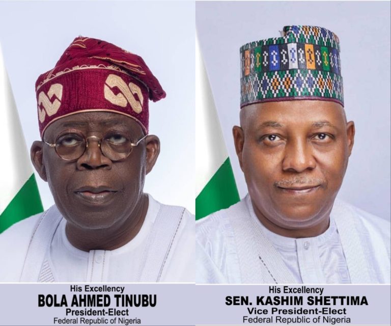 2027: Yoruba Leader Urges Tinubu To Pick Hausa/Fulani Running Mate, Zone Senate Presidency To South-East